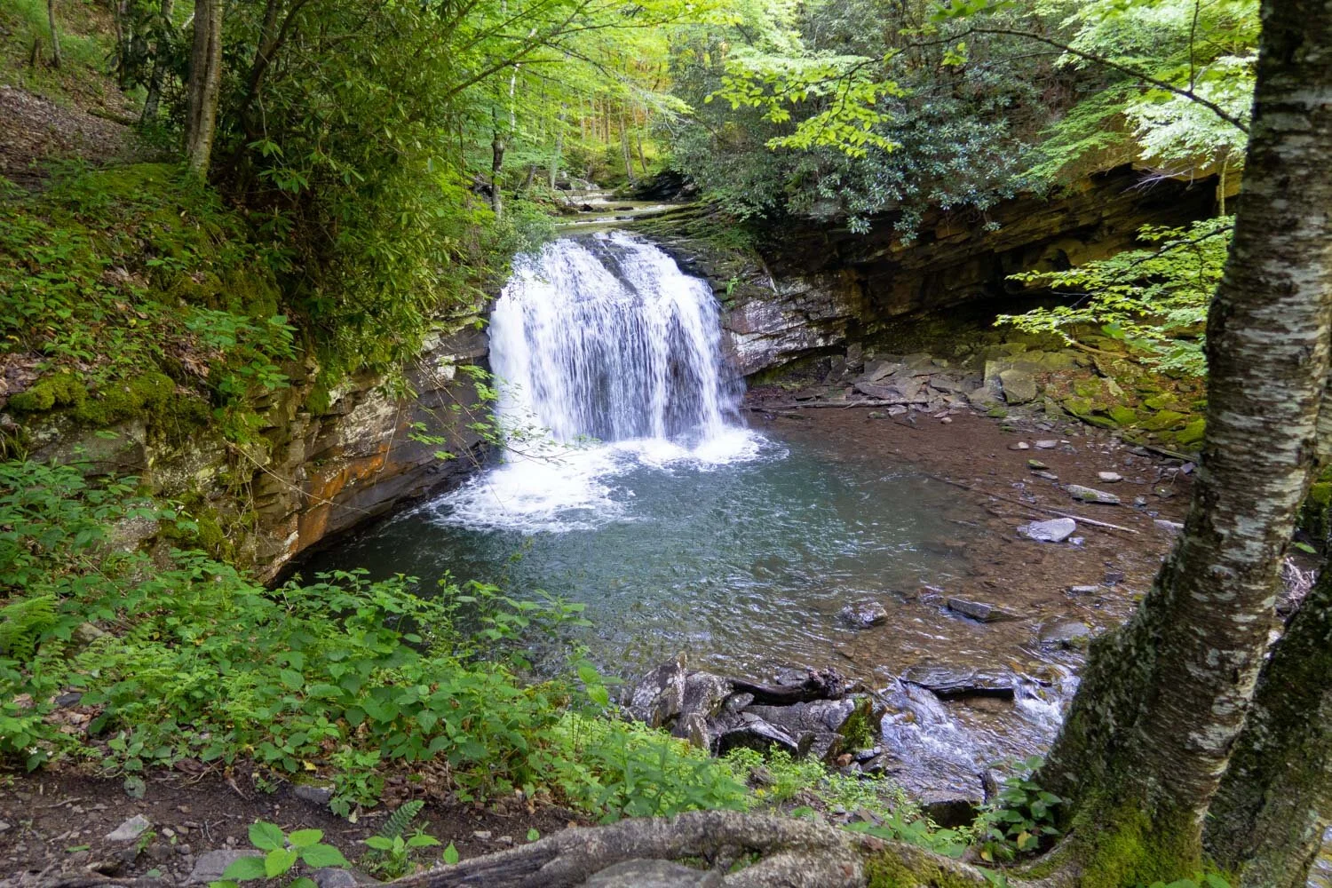 Seneca Falls in West Virginia