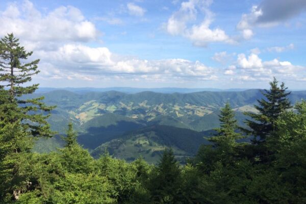 Image of Spruce Knob, WV, site of the 2026 Highpointers Club Convention